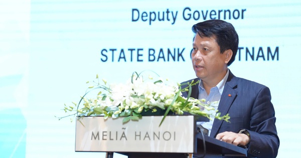 Phó Thống đốc NHNN: Indonesia có mô hình cho vay dựa trên mức độ kiên trì của khách thông qua số bước đi mỗi ngày, tần suất sử dụng điện thoại..., Việt Nam có thể tiếp cận