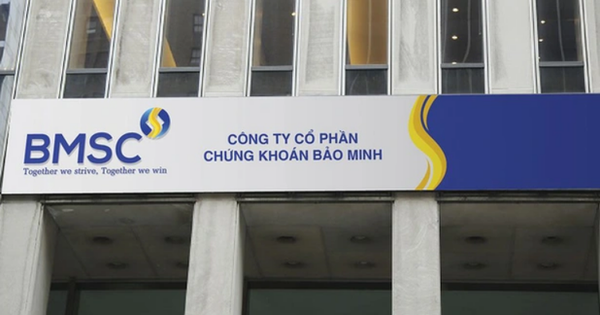 Nhóm doanh nghiệp dự chi hàng trăm tỷ mua cổ phiếu của Chứng khoán Bảo Minh, họ là ai?