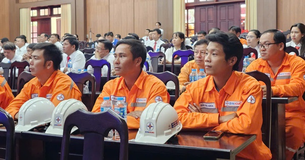 TP HCM thành lập 9 công ty điện lực mới