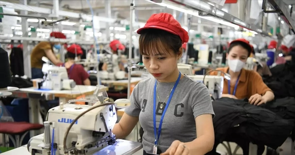 Mỹ áp thuế 20% với hàng xuất khẩu Việt Nam: Dệt may, thủy sản tìm cơ hội mới để giữ thị phần