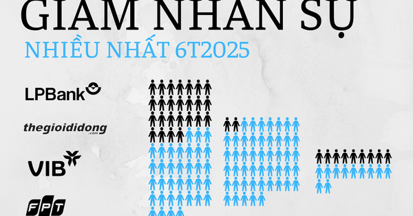 Lần đầu tiên FPT giảm hàng trăm nhân sự, 10 cái tên cắt giảm nhiều nhất có tới 6 ngân hàng: Chuyện gì đang xảy ra?