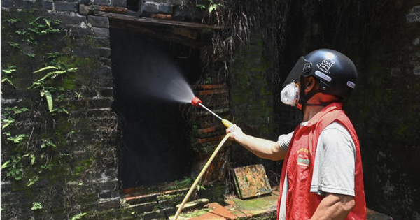 Trung Quốc "dốc toàn lực" dập dịch Chikungunya