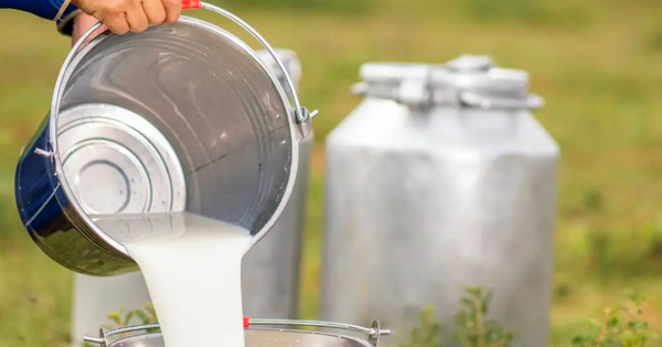 Sau dầu Nga, Mỹ nhắm đến một loại hàng hoá khác ở quốc gia 1,4 tỷ dân: Là mặt hàng được nội địa hoá hoàn toàn, cả Mỹ, EU và Anh đều muốn 'chen chân' nhưng thất bại