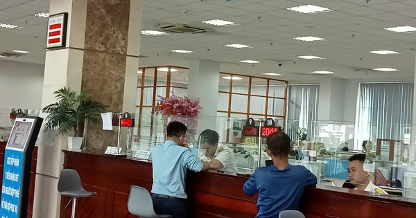 Người cho thuê nhà, văn phòng phải khai báo và nộp những loại thuế nào?