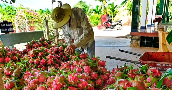 Nghịch lý tiêu chuẩn kép nông sản Việt - kỳ 1: Lo chuẩn ngoại, quên chuẩn nội?