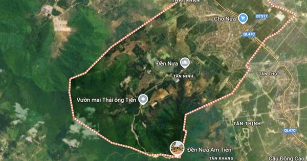 Chuyển đổi 44 ha rừng để thực hiện dự án tâm linh 35.000 tỉ đồng, có tượng Phật cao nhất thế giới