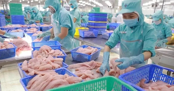Vì sao cá tra là 'vua xuất khẩu' nhưng tiêu thụ nội địa èo uột?