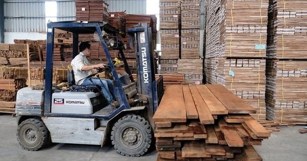 Bị nhầm, đại gia gỗ trên sàn trình lại tỷ lệ chào bán cổ phiếu cho cổ đông hiện hữu từ 5% lên 20%