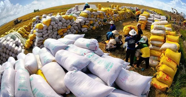 Người dân Philippines ưa chuộng gạo chất lượng cao từ Việt Nam