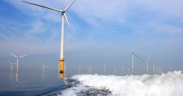 Cơ Điện Lạnh (REE) trúng thầu 2 dự án điện gió công suất 80 MW, tổng mức đầu tư 3.860 tỷ đồng tại Vĩnh Long