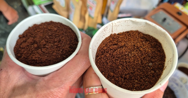 Giá cà phê hôm nay 26-8: Sụt giảm, kho hàng cạn kiệt