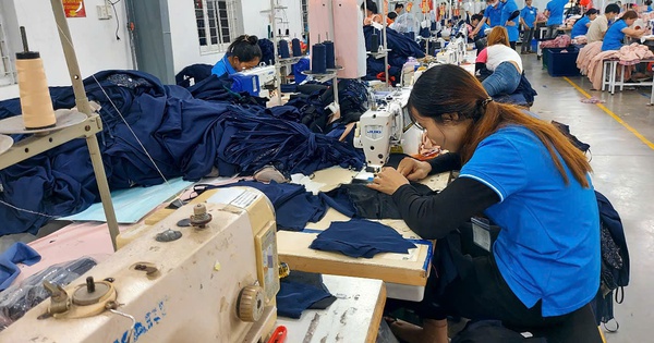 Mức đóng bảo hiểm thất nghiệp sắp giảm còn 0,9% tiền lương tháng?
