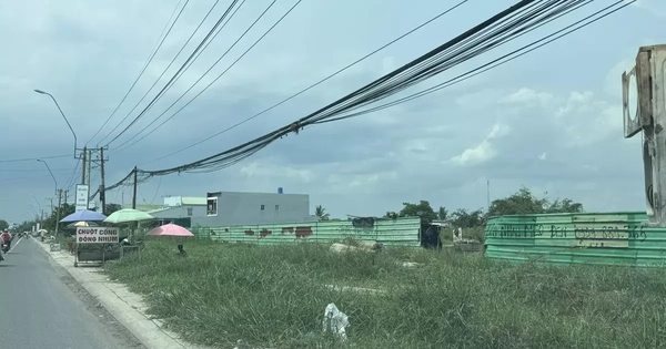 Tây Ninh: Thu hồi, chấm dứt hoạt động 58 dự án chậm tiến độ