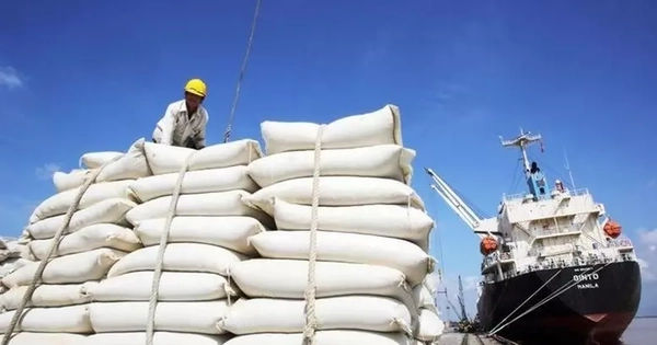 Gạo Việt ‘phanh gấp’ trước động thái cứng rắn của Philippines
