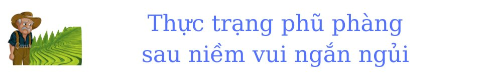 “Phú quý giật lùi”: Hàng triệu người ở nền kinh tế số 1 ĐNÁ “đổi đời” nhờ sản xuất đồ phục vụ người Mỹ, giờ đây không ít chọn cách quay về trồng lúa để mưu sinh - Ảnh 3