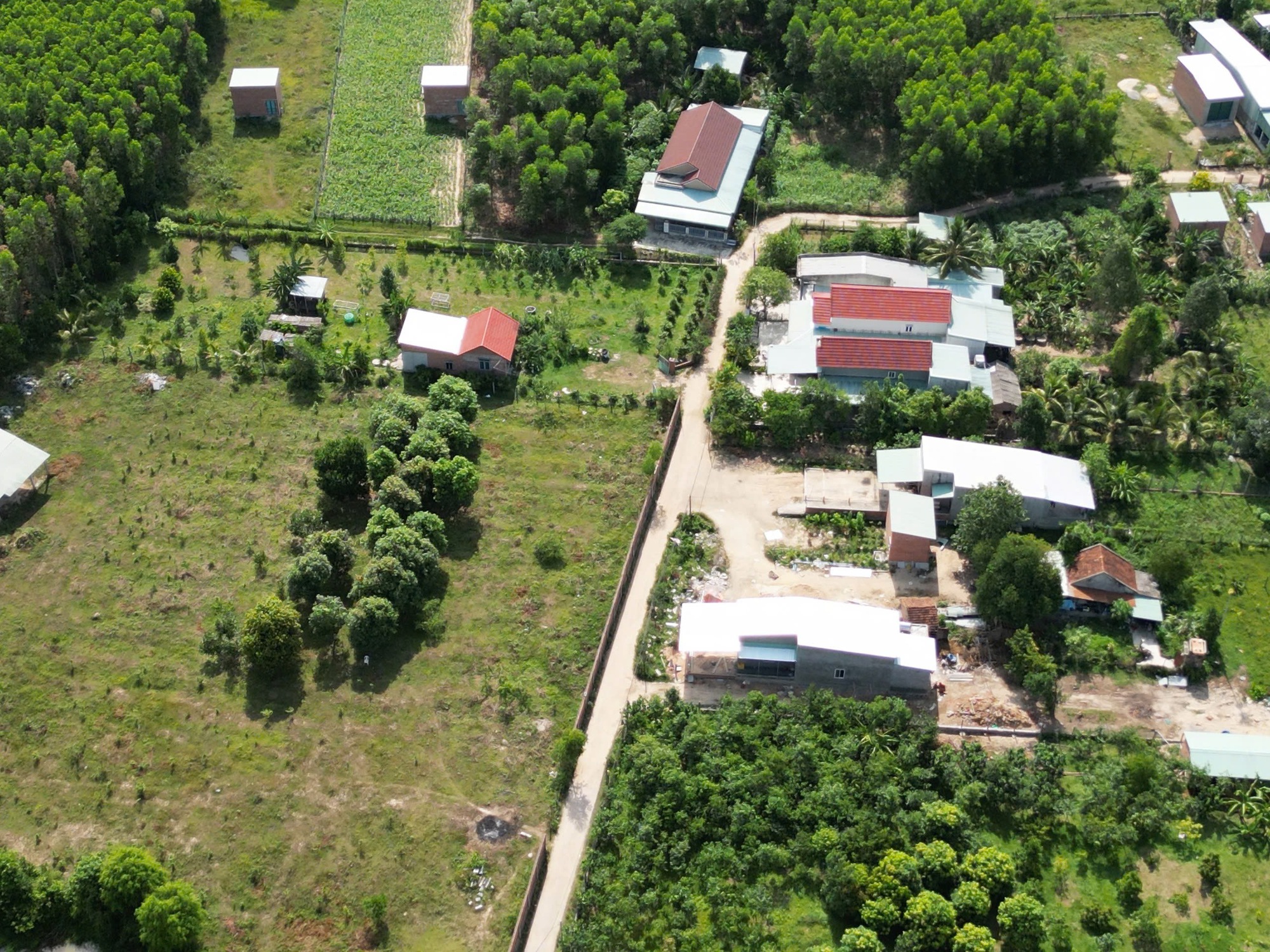 Chủ tịch tỉnh Gia Lai chỉ đạo làm rõ vụ “phù phép” đất công thành đất tư - Ảnh 2