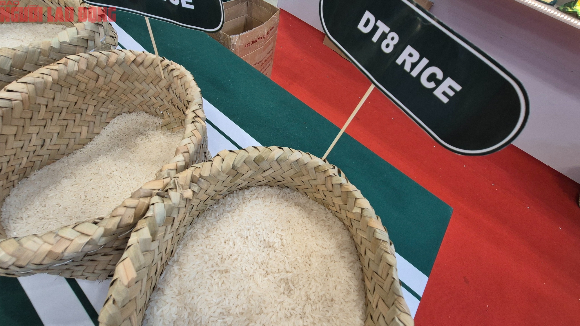 Thông tin mới nhất về việc Philippines tạm ngừng nhập khẩu gạo - Ảnh 1