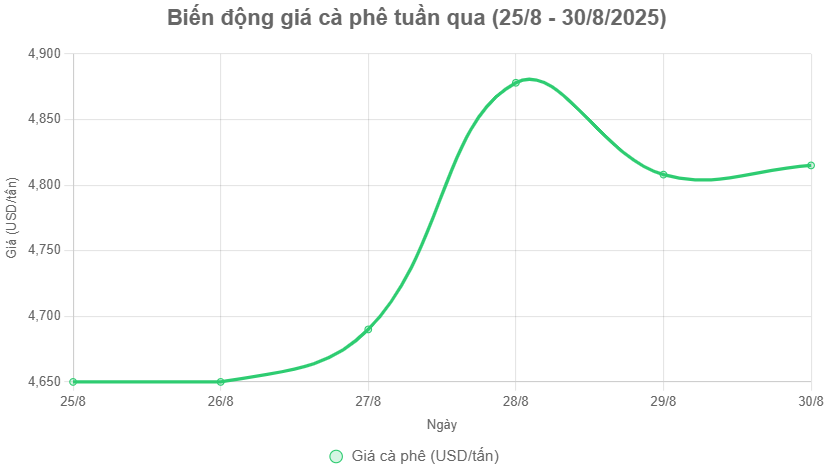 Giá cà phê hôm nay 31-8: Phân tích thị trường của "ông trùm cà phê" - Ảnh 2