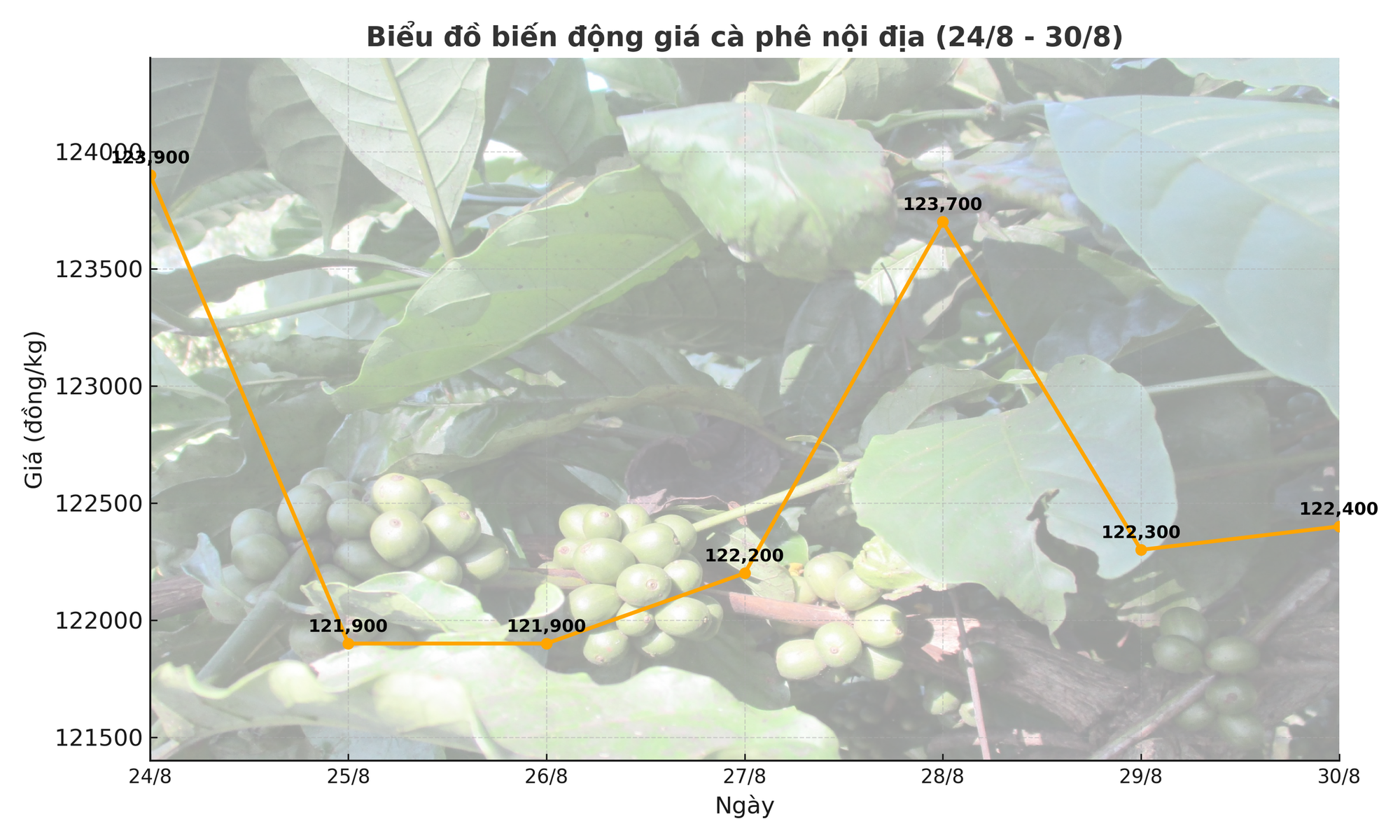 Giá cà phê hôm nay 31-8: Phân tích thị trường của "ông trùm cà phê" - Ảnh 3