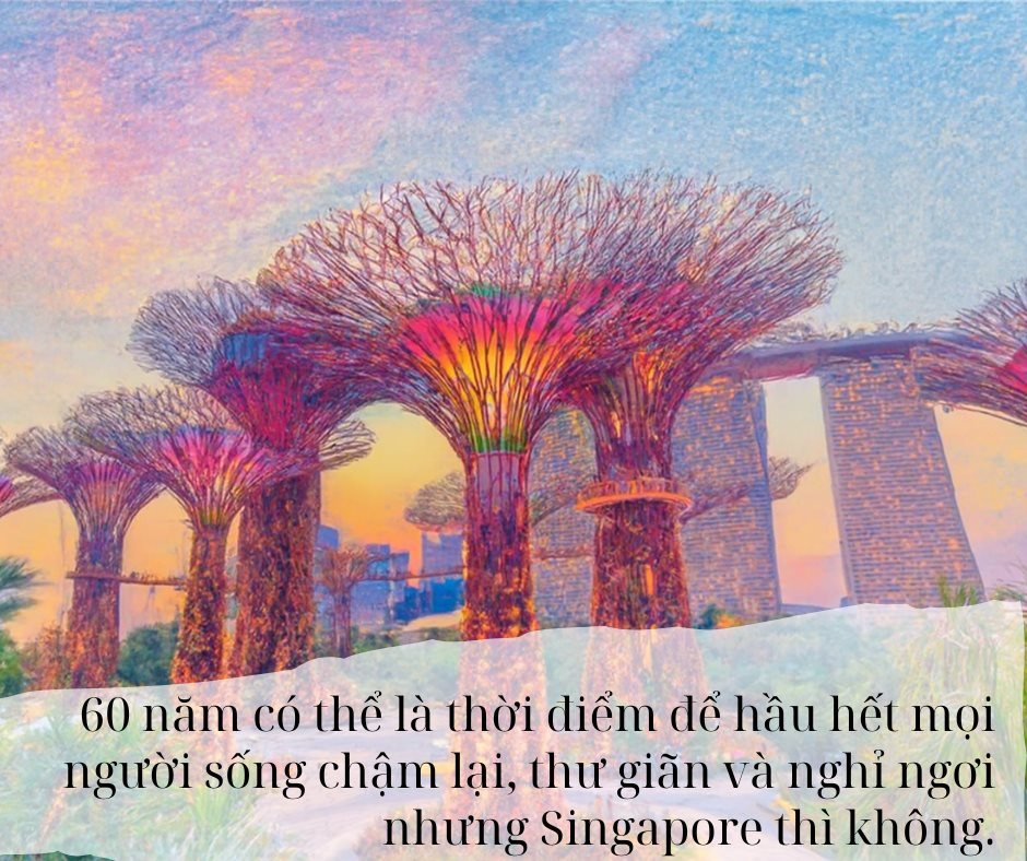 Từ bãi lầy trở thành siêu cường kinh tế, quốc gia ĐNÁ này giờ đây đối mặt thách thức “sống còn” ở tuổi 60 - Ảnh 5