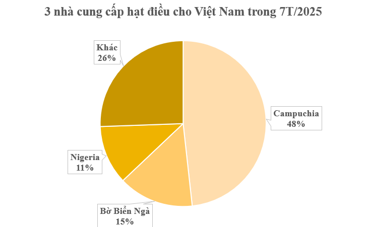 Hơn 900.000 tấn ‘báu vật quốc gia’ từ Campuchia vừa đổ bộ Việt Nam: Thuế nhập khẩu 0%, là trợ lực giúp nước ta xuất khẩu bỏ xa thế giới - Ảnh 2