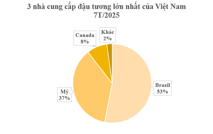 Mỹ, Canada đua nhau gửi một loại ‘báu vật’ vào Việt Nam với giá siêu rẻ: Thuế nhập khẩu 0%, nước ta tiêu thụ top đầu thế giới - Ảnh 2