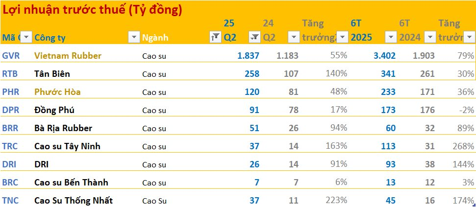 Toàn cảnh BCTC quý 2/2025: Ngân hàng áp đảo về lợi nhuận, ngành điện, cao su tăng trưởng cao, bất động sản phân hóa mạnh, Novaland lỗ lớn nhất quý - Ảnh 9