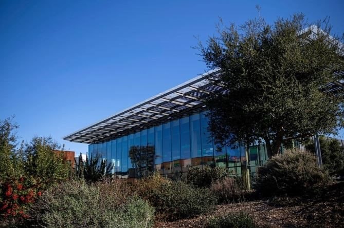 Kỹ sư phần mềm 35 tuổi đột tử ngay tại văn phòng Microsoft - Ảnh 2