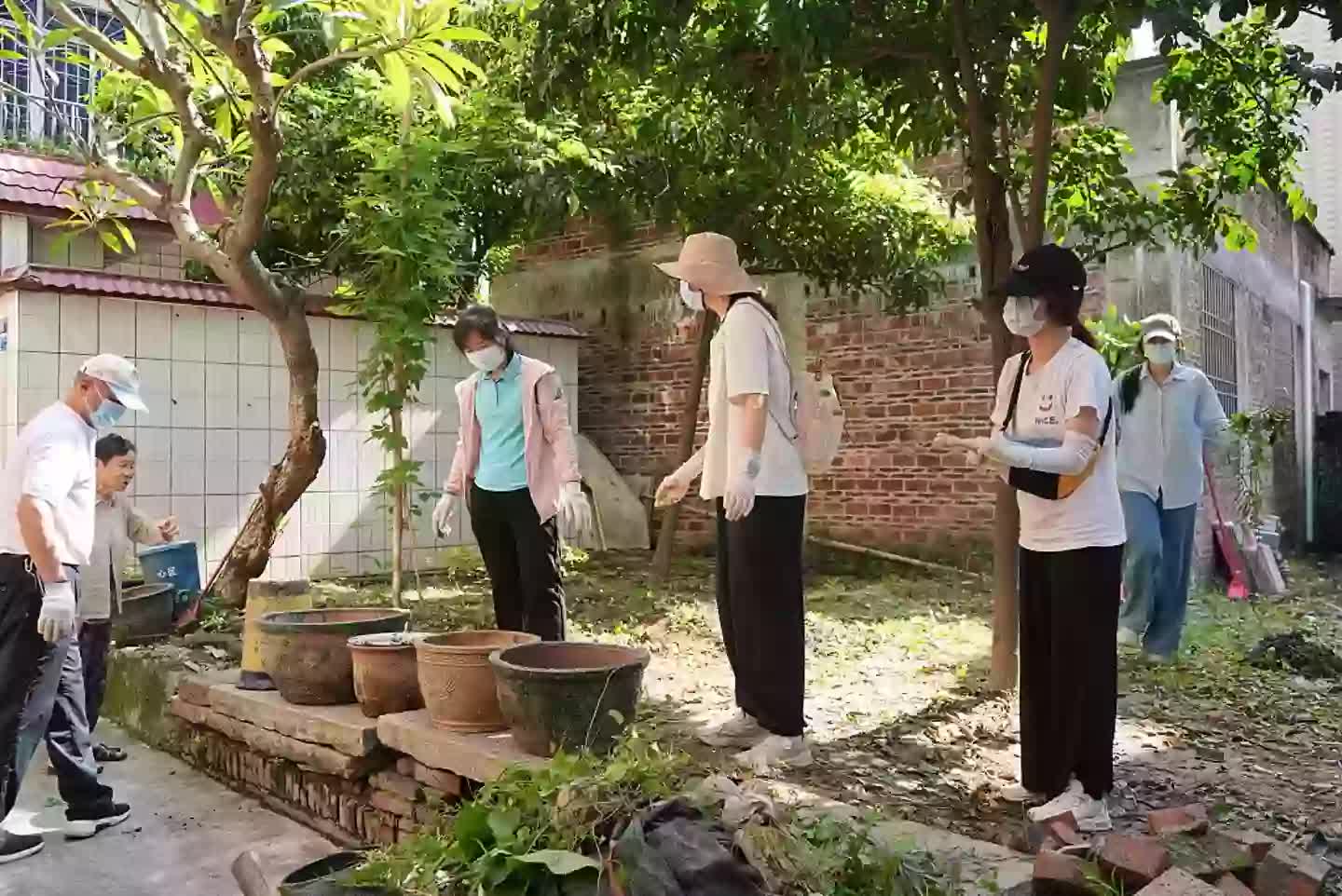Toàn cảnh dịch Chikungunya lan rộng toàn cầu: Trung Quốc ghi nhận hơn 7.000 ca, Mỹ phát cảnh báo - Ảnh 5