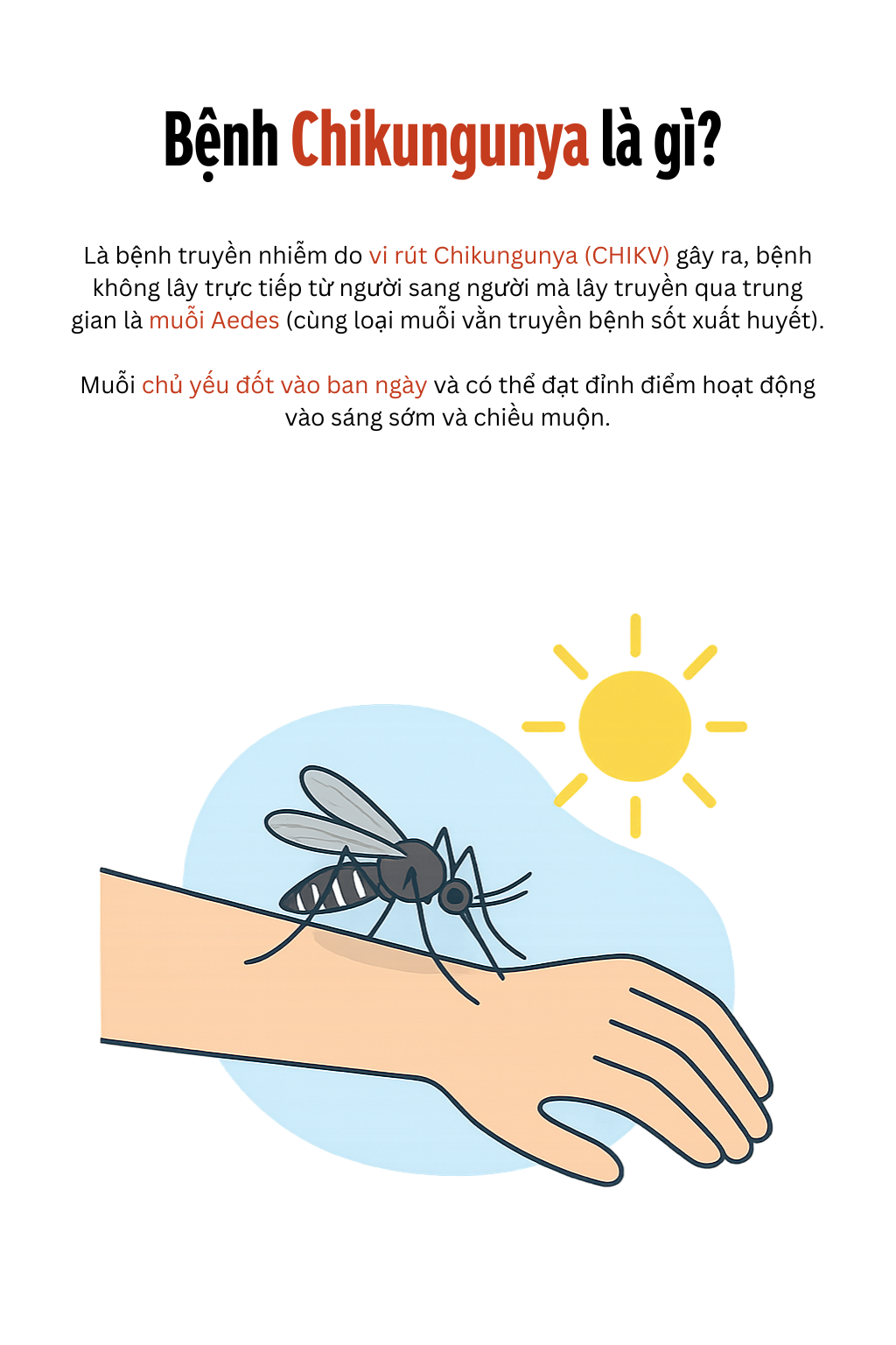 Toàn cảnh dịch sốt Chikungunya lan nhanh trên toàn thế giới: 240.000 ca mắc, 90 người tử vong; WHO ban hành cảnh báo - Ảnh 2