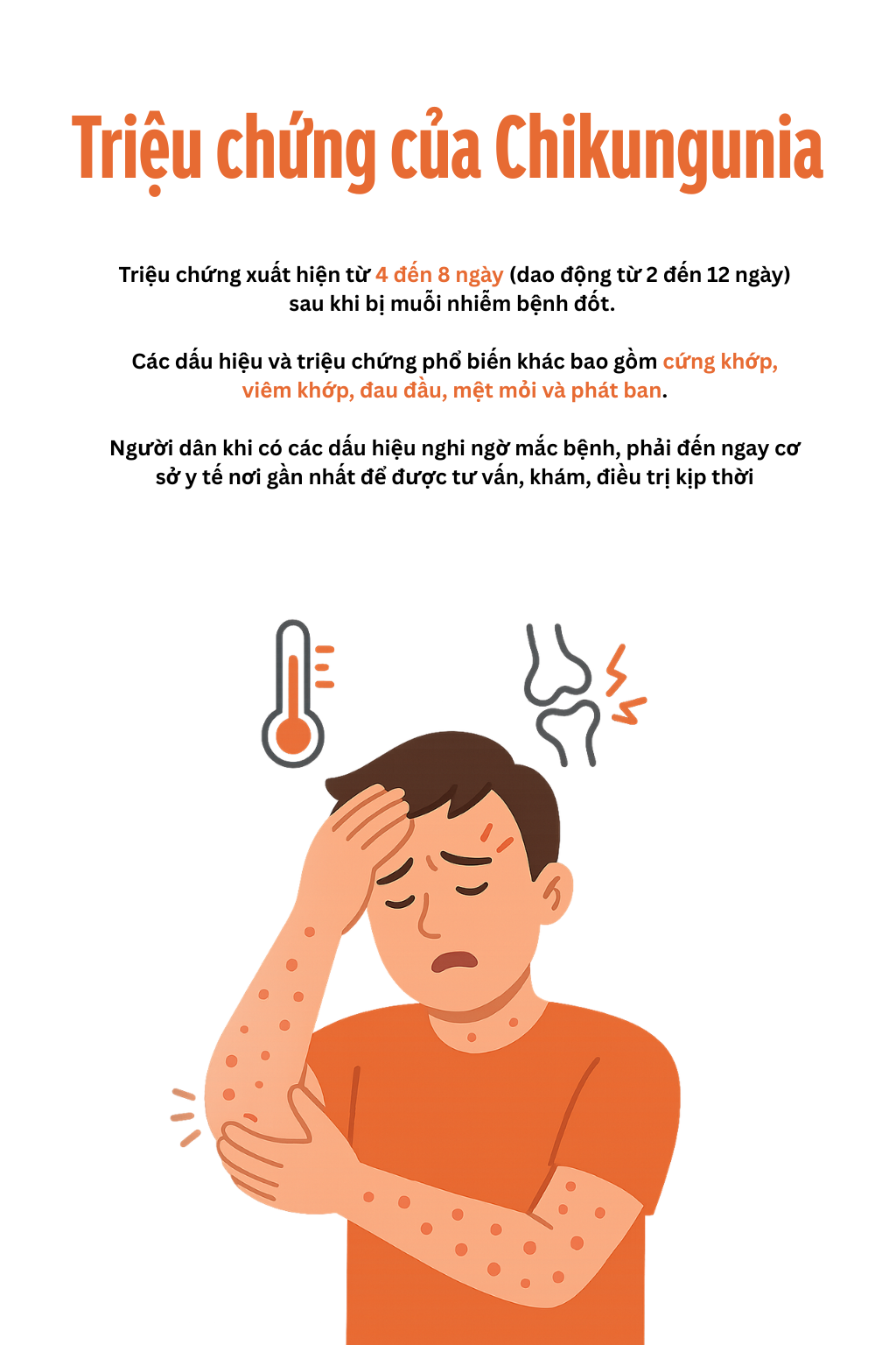 Toàn cảnh dịch sốt Chikungunya lan nhanh trên toàn thế giới: 240.000 ca mắc, 90 người tử vong; WHO ban hành cảnh báo - Ảnh 6