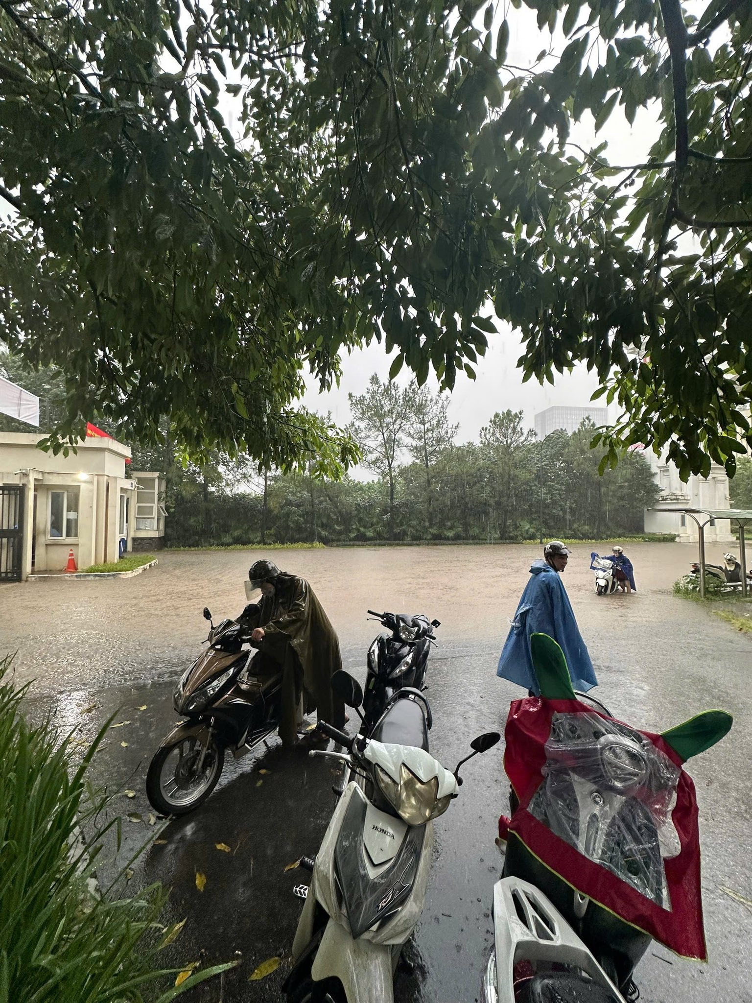 Khu nhà giàu Ciputra được ví như "làng chài" bởi hễ mưa lớn là ngập trong "biển nước" nhưng giá biệt thự trăm tỷ/căn - Ảnh 5