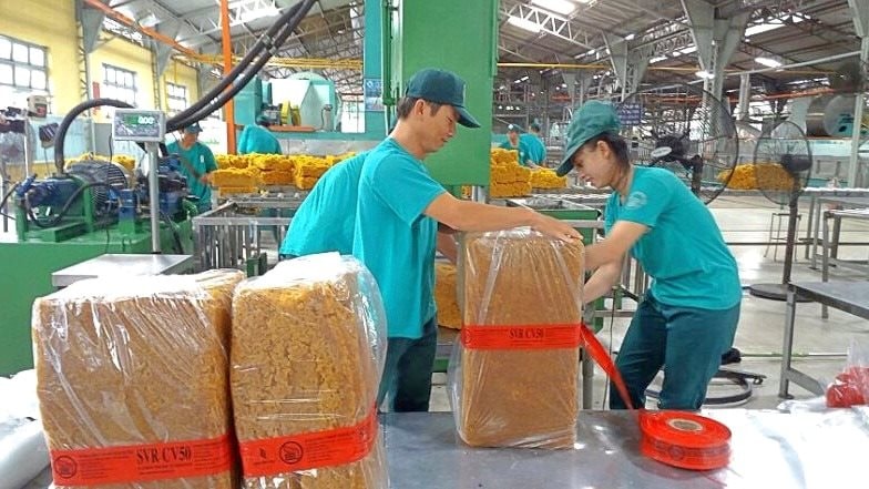 Doanh nghiệp tấp nập chia cổ tức, một công ty xây dựng thưởng cổ phiếu tỷ lệ 100% - Ảnh 1