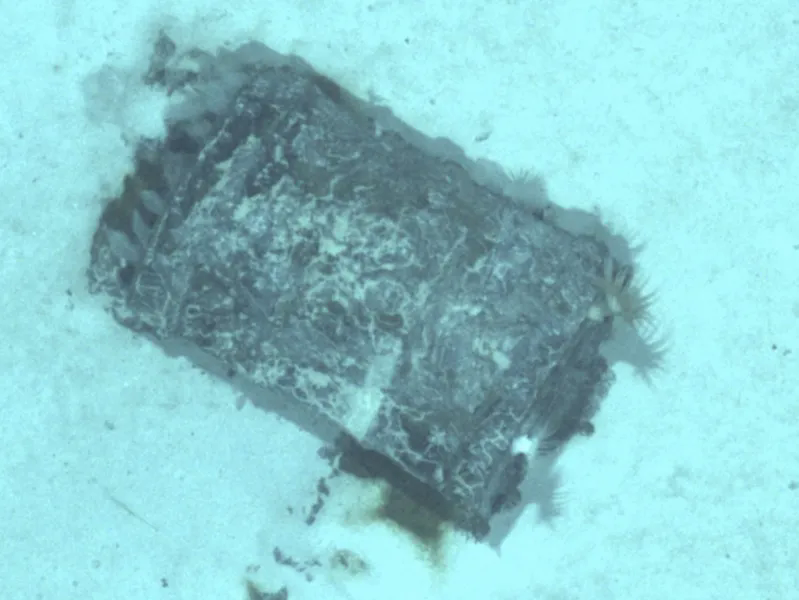 Phát hiện hơn 3.000 thùng chất thải phóng xạ dưới đáy Bắc Đại Tây Dương - Ảnh 1