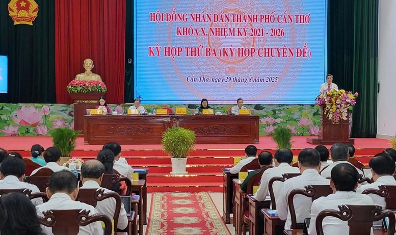 Cần Thơ hỗ trợ 5 triệu/tháng cho cán bộ đi làm xa - Ảnh 1