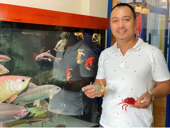 Độc lạ nuôi cua cảnh - Ảnh 2