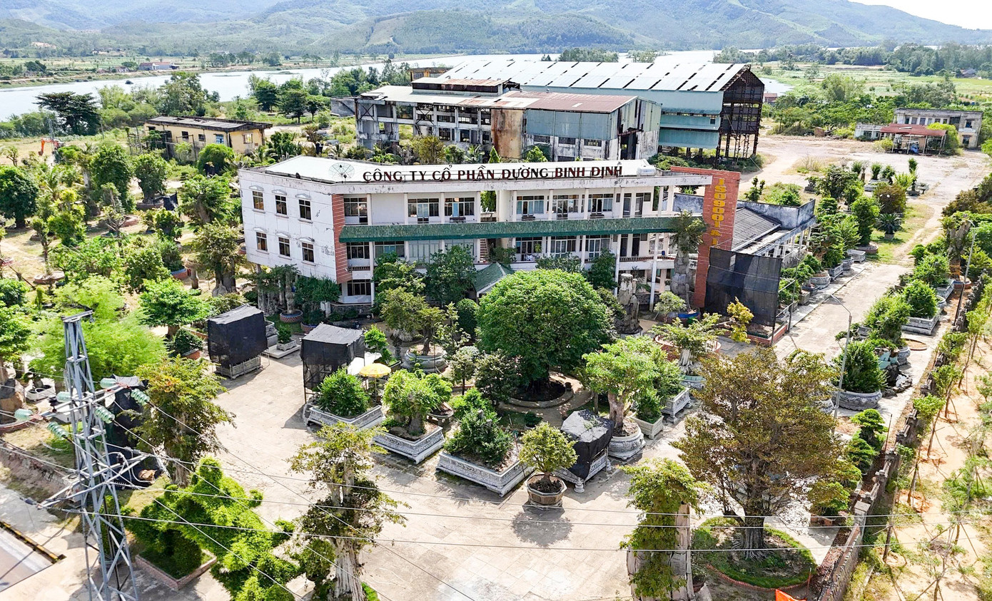 Một xã ở Gia Lai xin thu hồi hơn 90.000 m2 đất vàng ven sông - Ảnh 1