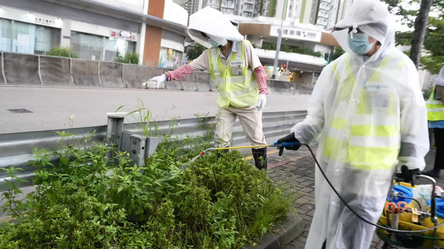 Dịch Chikungunya lan rộng: Hồng Kông (Trung Quốc) ghi nhận thêm ca mới, tất cả đều có chung một điểm - Ảnh 1