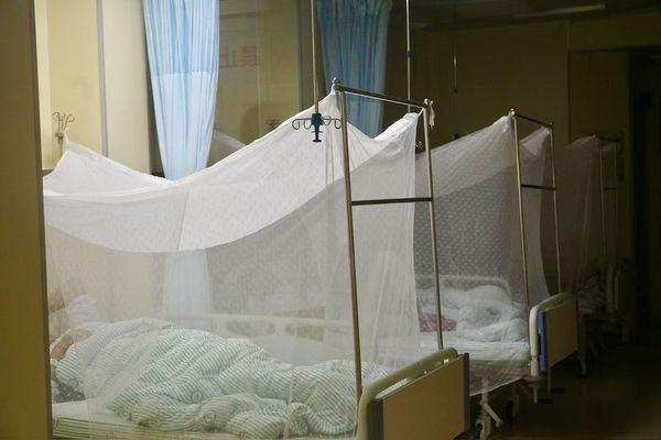 1.387 ca mắc mới virus Chikungunya được phát hiện tại Quảng Đông (Trung Quốc), chuyên gia cảnh báo nên cảnh giác - Ảnh 1