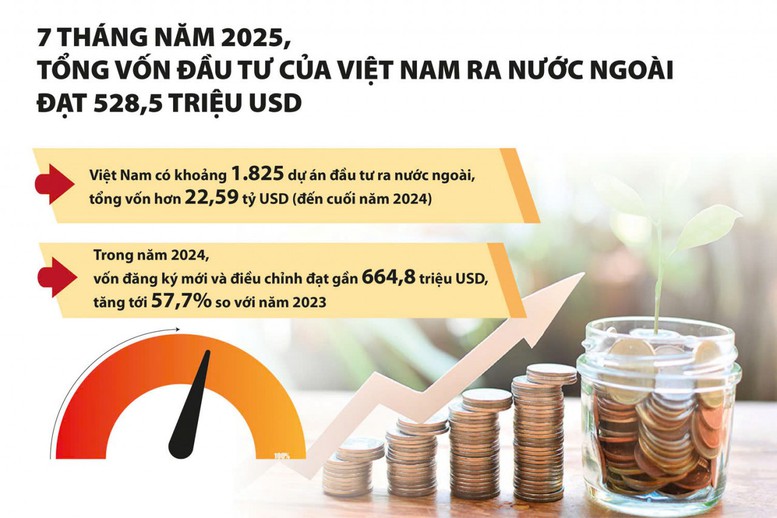 Việt Nam dần khẳng định vị thế kinh tế qua FDI và OFDI - Ảnh 3