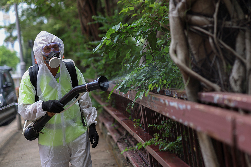 Virus Chikungunya "phá hủy nội tạng" bùng phát khiến WHO phát đi kêu gọi hành động khẩn cấp nguy hiểm thế nào? - Ảnh 3