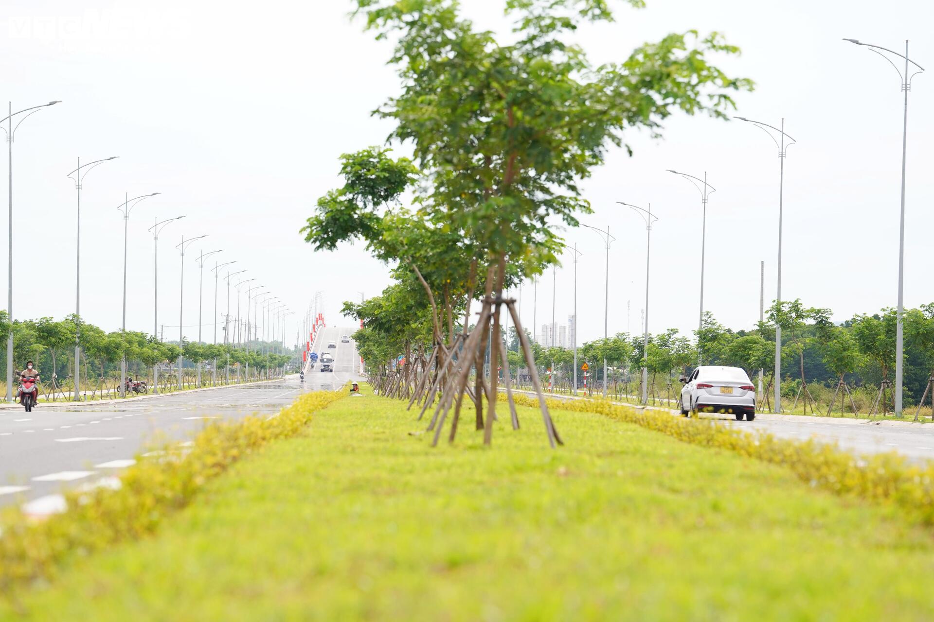 Cận cảnh đường ven biển kết nối TP.HCM - Lâm Đồng - Ảnh 6