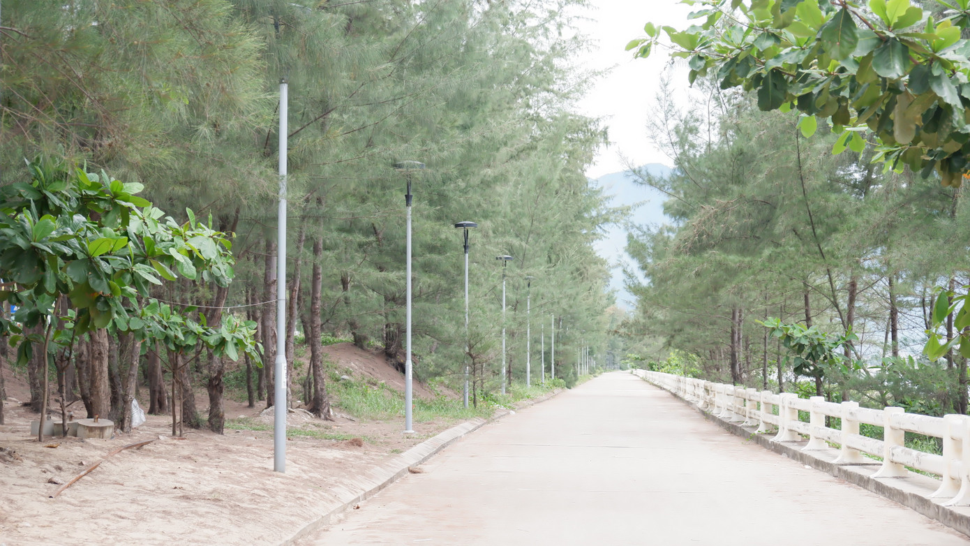 Người dân lo ngại việc lấn biển làm đảo nhân tạo, cơ quan chức năng Đà Nẵng nói gì? - Ảnh 2