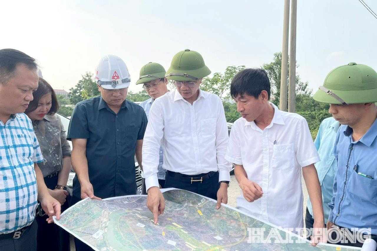 Người dân Hải Phòng sẽ vui mừng khi biết thông tin này - Ảnh 2