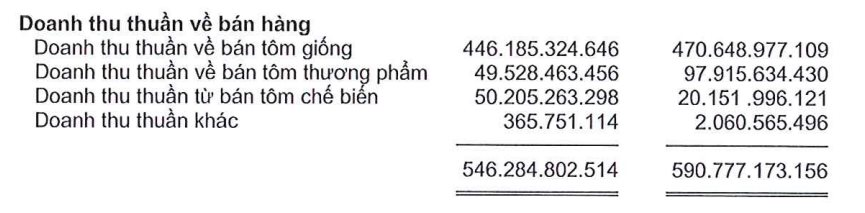 Từng lãi hàng trăm tỷ mỗi năm, "Vua tôm giống" Việt Nam bất ngờ báo lỗ trong 6 tháng đầu năm 2025 - Ảnh 1