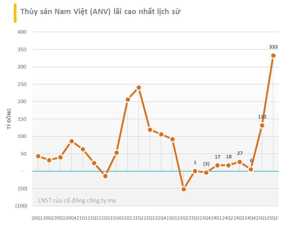 Vua xuất khẩu cá tra Nam Việt báo lãi quý 2/2025 tăng chưa từng thấy, cao nhất trong 8 năm - Ảnh 1