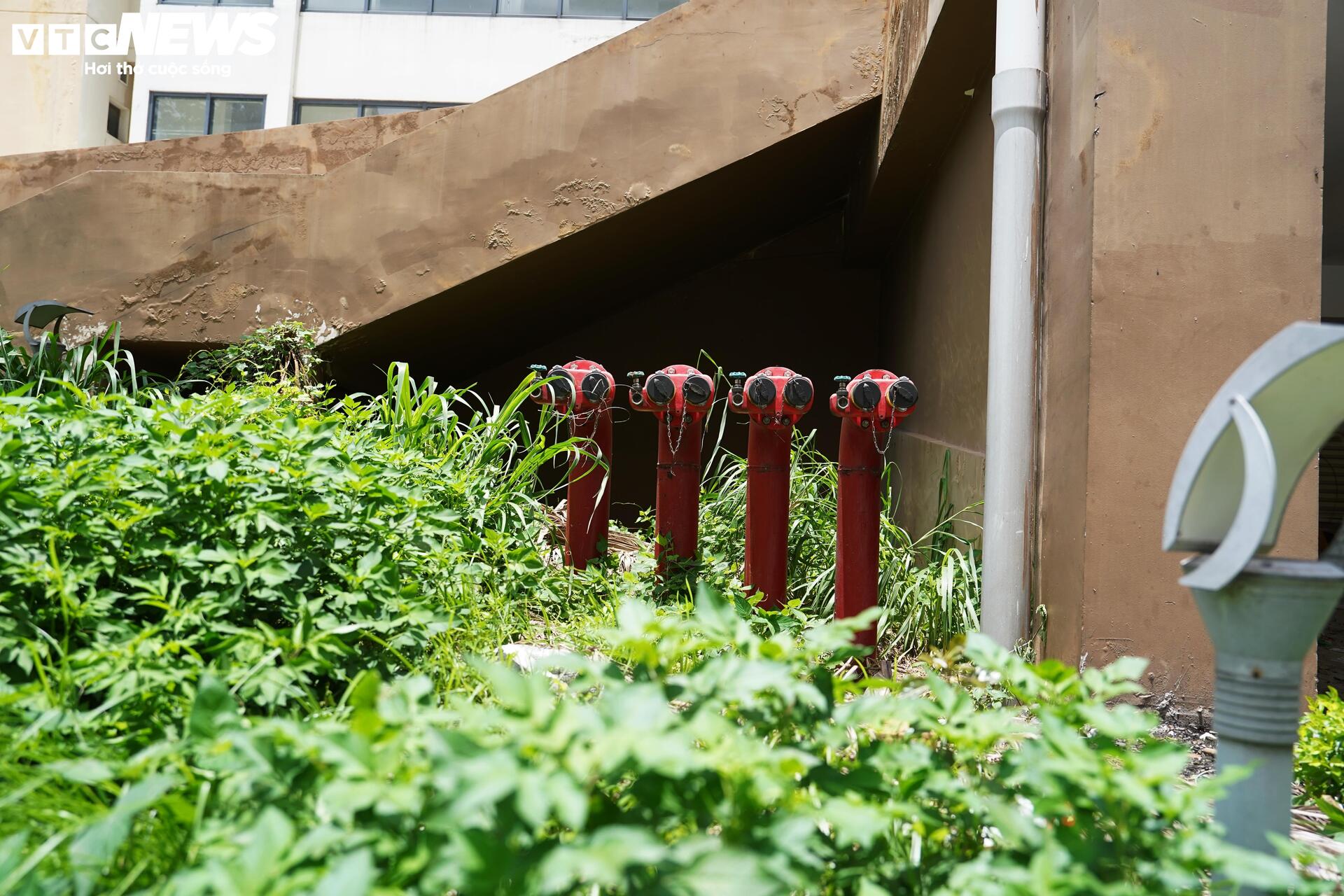 Cận cảnh gần 3.800 căn hộ tái định cư giữa 'đất vàng' Thủ Thiêm sắp được đấu giá - Ảnh 13