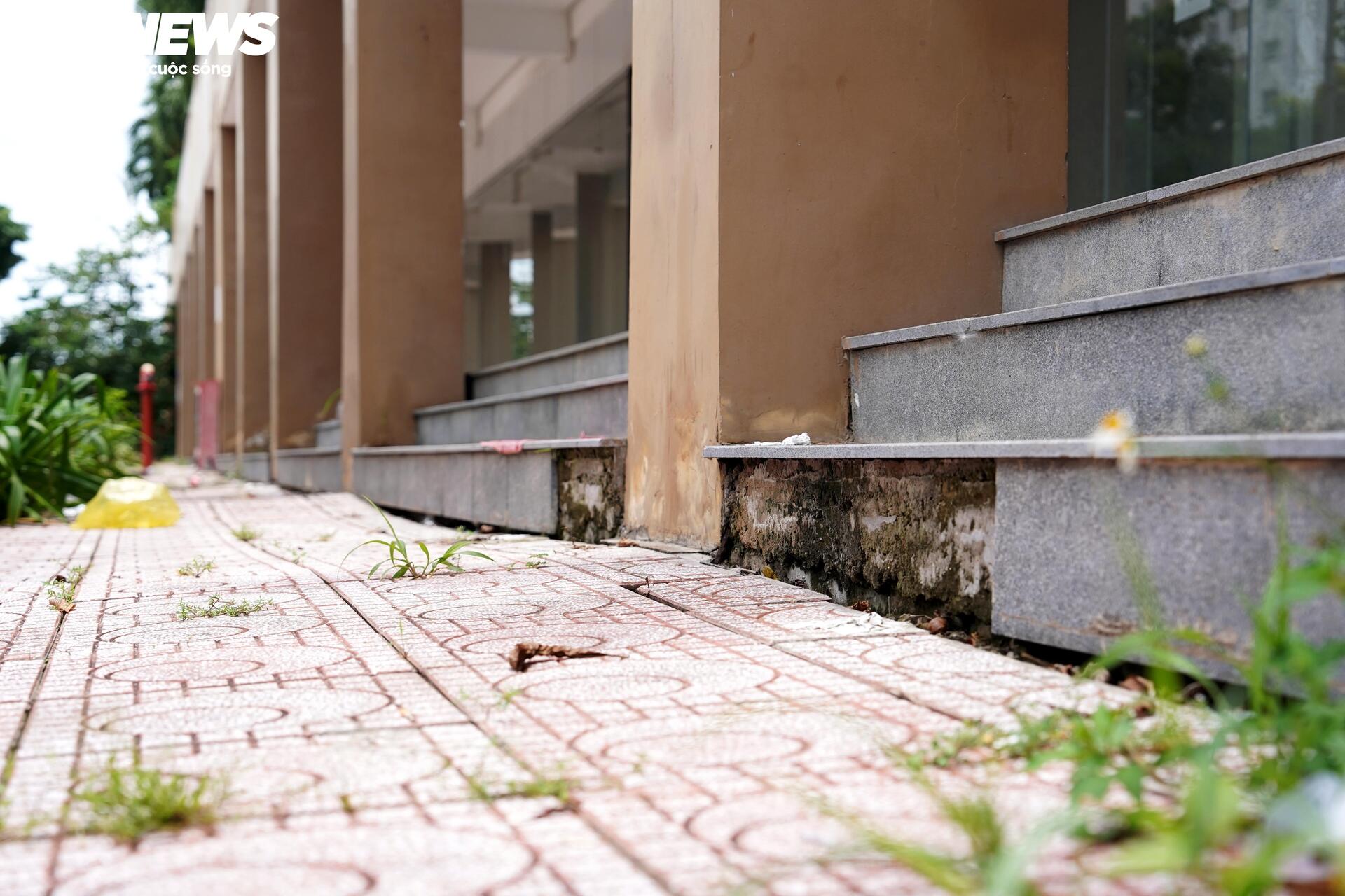 Cận cảnh gần 3.800 căn hộ tái định cư giữa 'đất vàng' Thủ Thiêm sắp được đấu giá - Ảnh 7