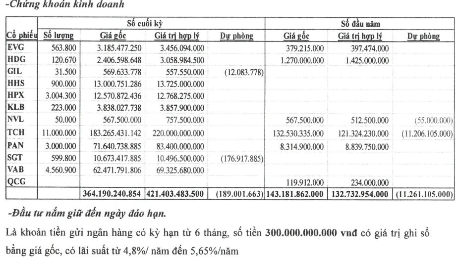 "Trắng" doanh thu cốt lõi, công ty BĐS rót hơn 360 tỷ đồng đầu tư vào TCH, HPX, PAN, NVL, KLB,... đang tạm lãi lớn - Ảnh 1