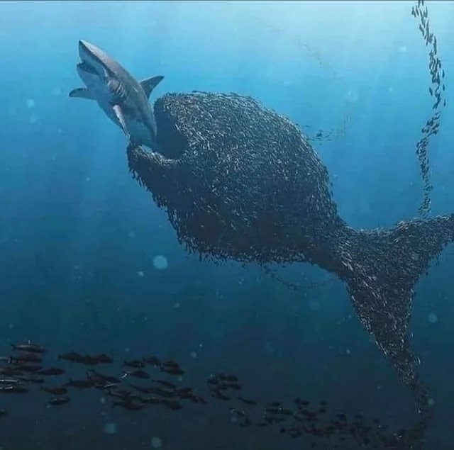 CEO Robinhood hé lộ 2 “tay to” giúp vượt bão giông quanh cuộc khủng hoảng “cá con vây cá mập” rúng động giới đầu tư toàn cầu: Tên tuổi ai cũng biết - Ảnh 2